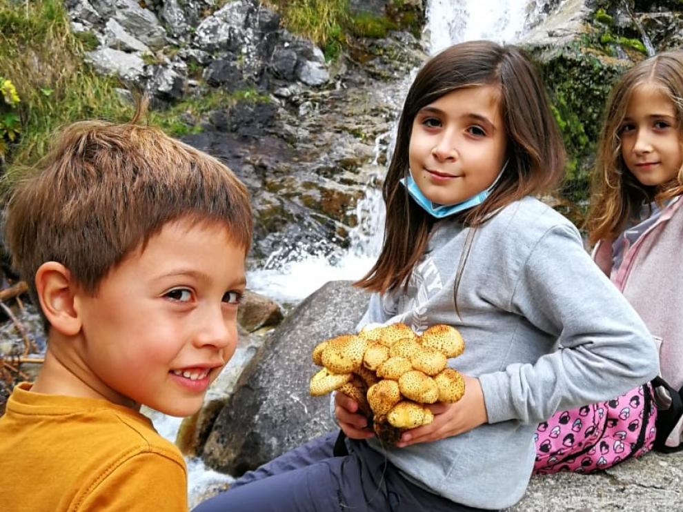 Jornadas micológicas en Panticosa con protagonismo especial del público infantil.