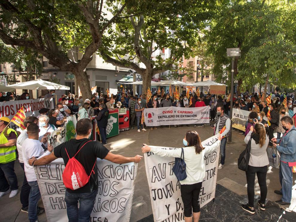 La concentración contra la PAC ha reunido en Zaragoza a ganaderos y agricultores.