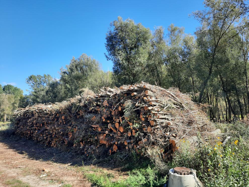 El Ayuntamiento de Graus actúa sobre la ribera del río Ésera.