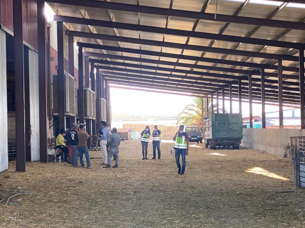 La situación de necesidad de estos trabajadores les llevó a aceptar condiciones inferiores a las reconocidas legalmente.