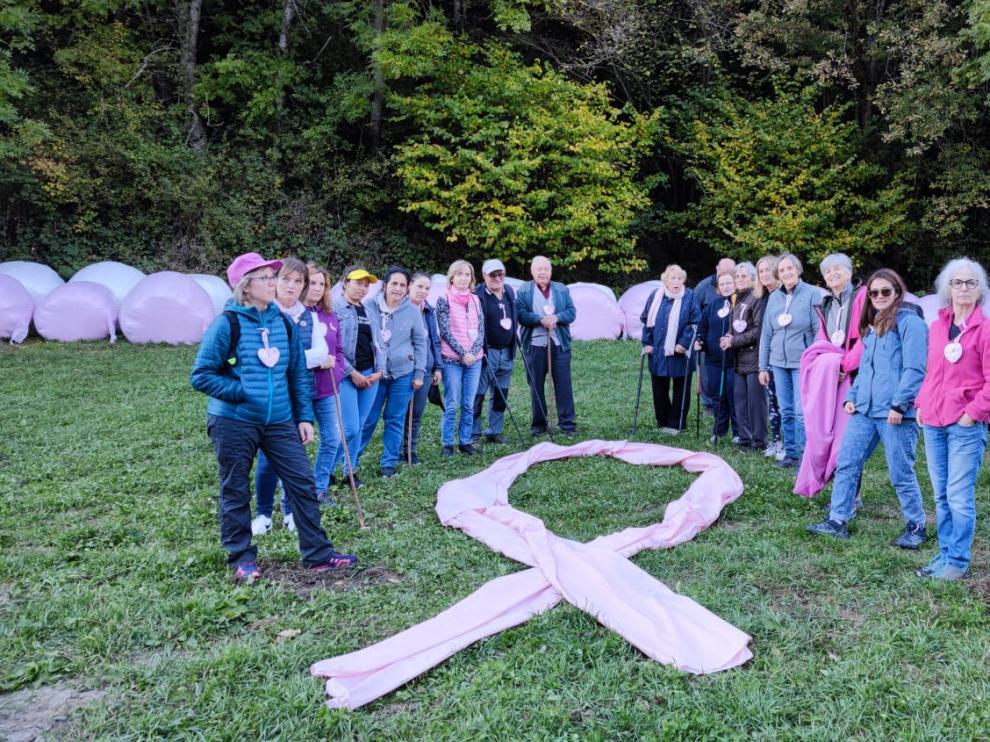 Participantes en Noales el sábado pasado en la lucha contra el Cáncer de mama, con pacas de paja “vestidas” de rosa.