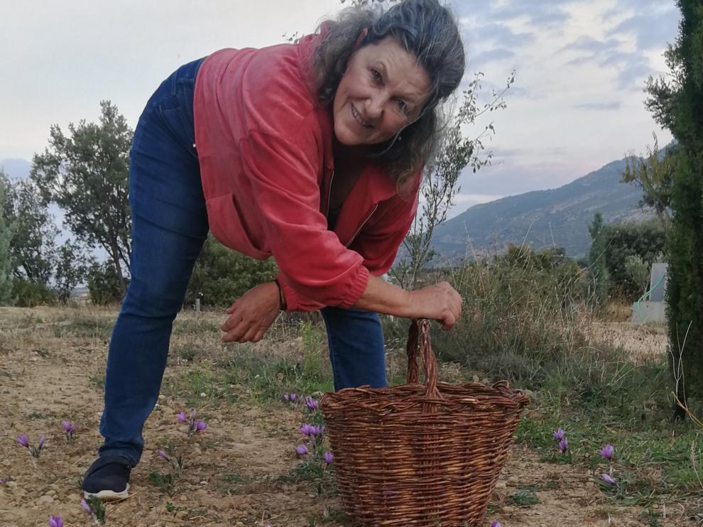 Paloma Barrachina en la explotación de azafrán que regenta en Castilsabás.