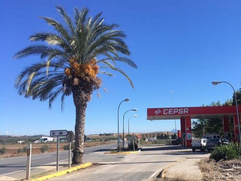 Estación de servicio en la que dejaron al menor.
