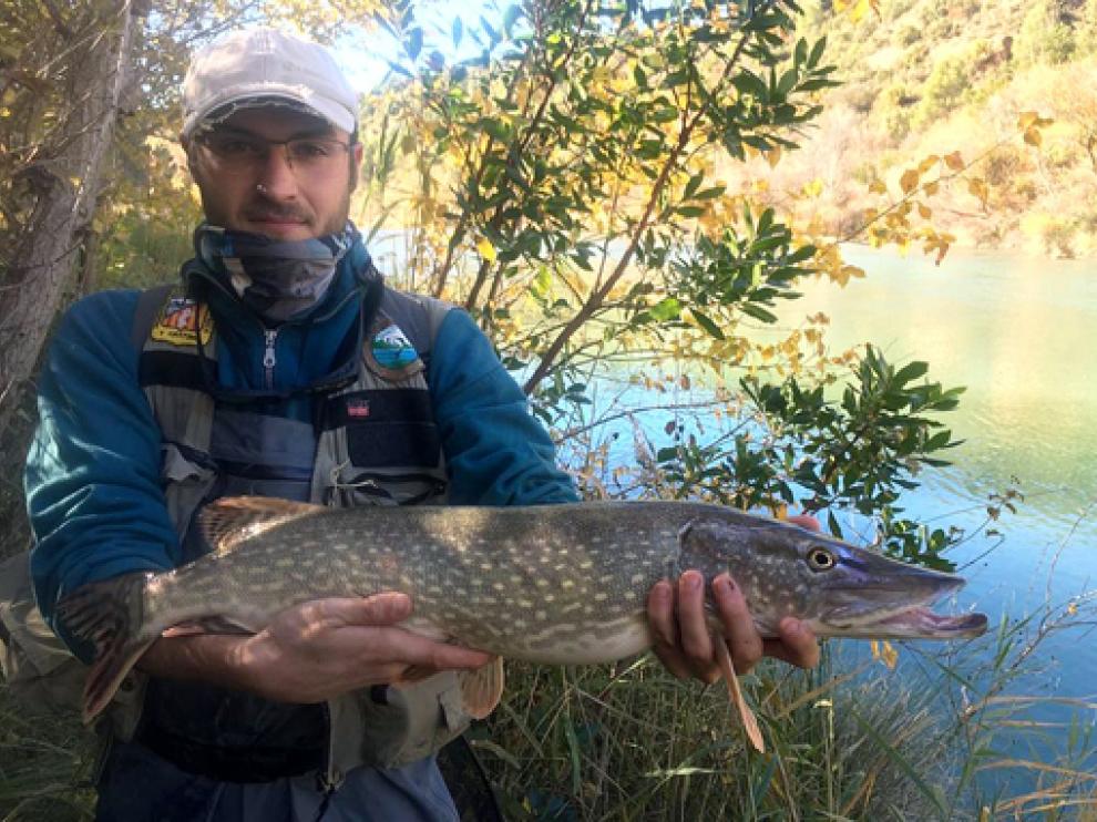Luis Sasot pescó un lucio de 70 centímetros.