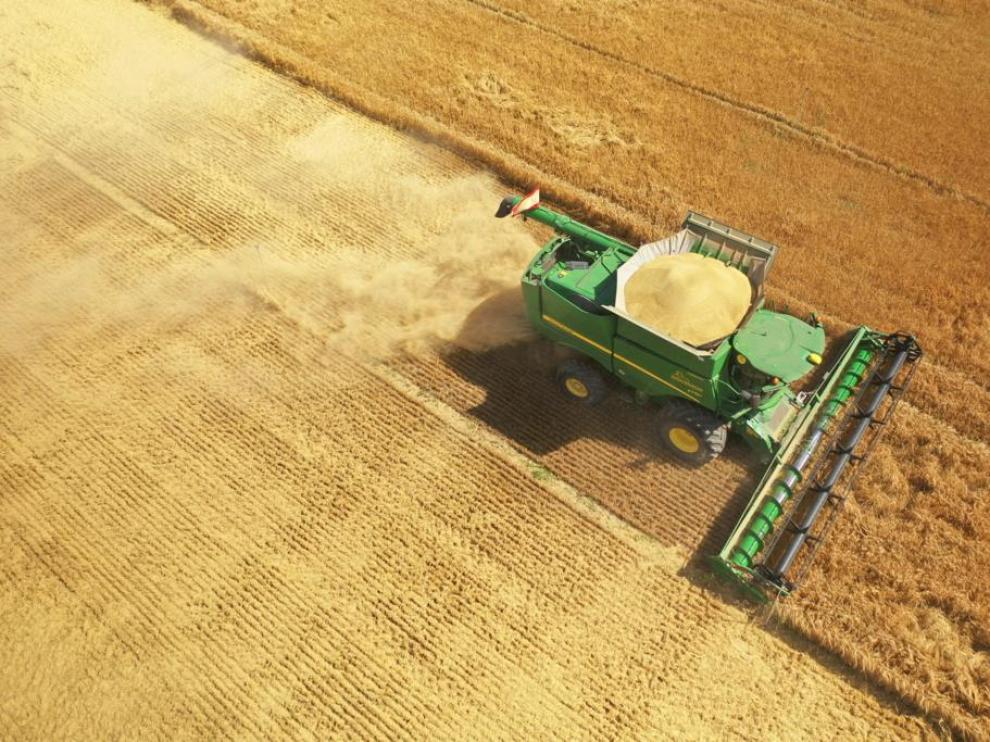 Cosecha de un campo de cereal.
