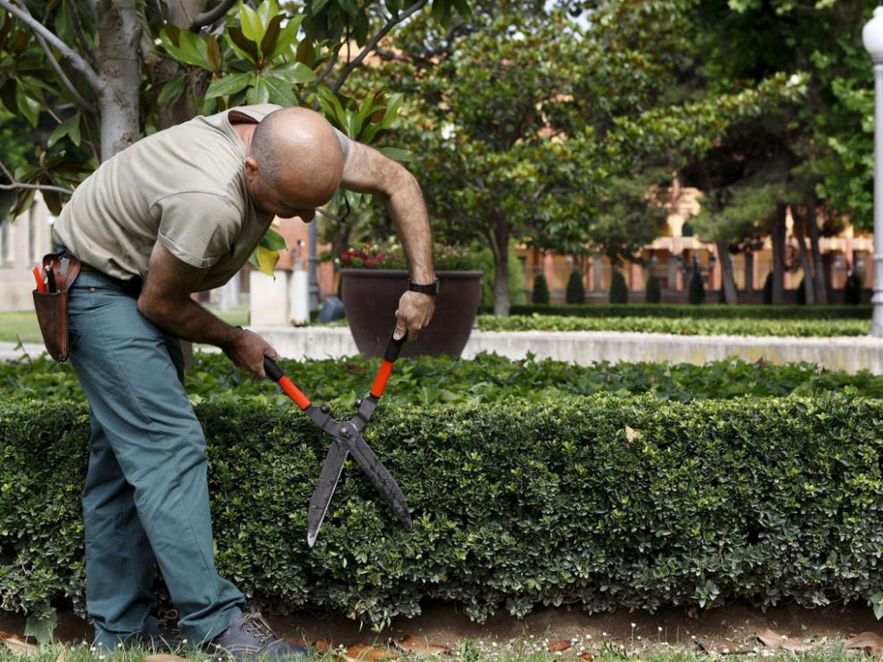 El servicio de jardinería es uno de los contratos que el Gobierno de Aragón reserva para centros especiales de empleo y empresas de inserción.