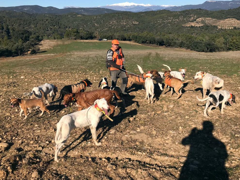 Un cazador y sus perros durante una batida de caza en la provincia de Huesca.
