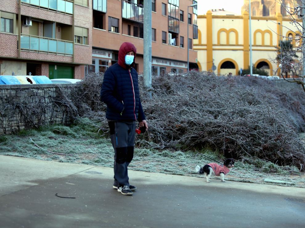 Un ciudadano paseando a su perro en el Parque de la Universidad, en la capital oscense.