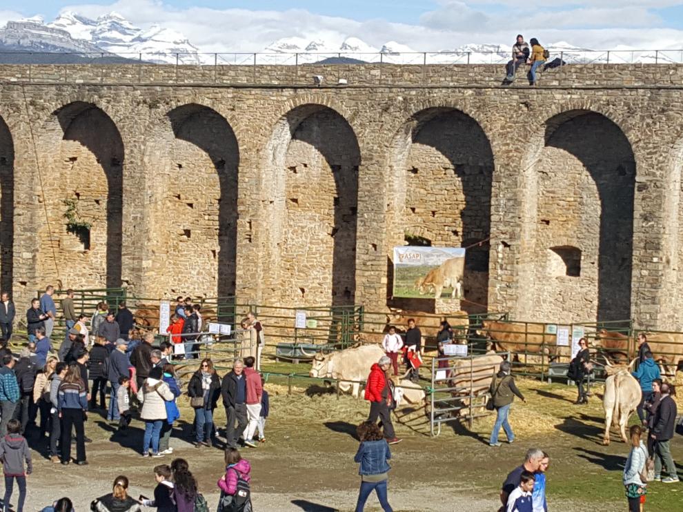 Animales en la Ferieta de Aínsa, en la edición del 2020.