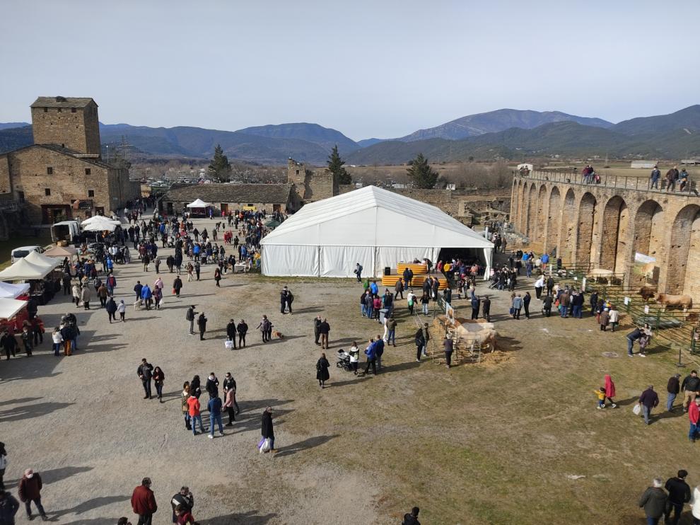 En la explanada del Castillo no ha faltado animación durante todo el fin de semana.