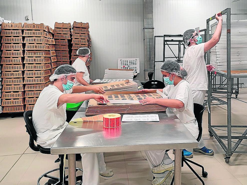 Jóvenes de la Asociación Down Huesca que trabajan en Aviagen.