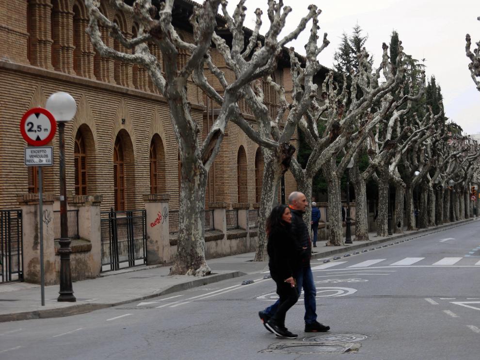 Vox plantea talar los plataneros de la calle del Parque en el tramo que va desde San Jorge a Rioja.