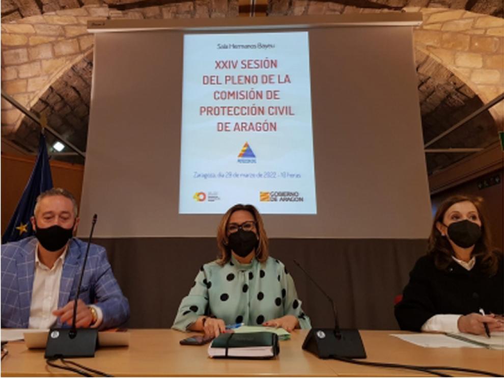 Reunión del Pleno de la Comisión de Protección Civil de Aragón