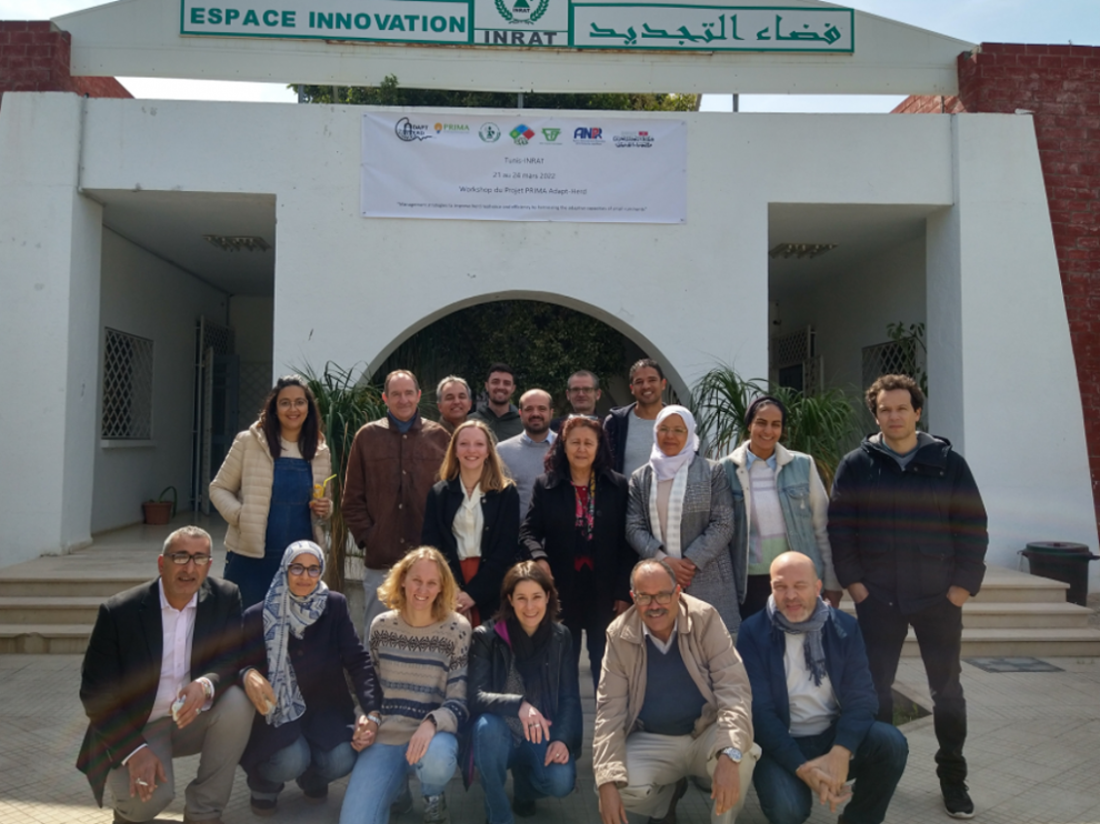 Investigadores de varios países que participan en el proyecto Adapt-Herd en su presentación en Túnez.