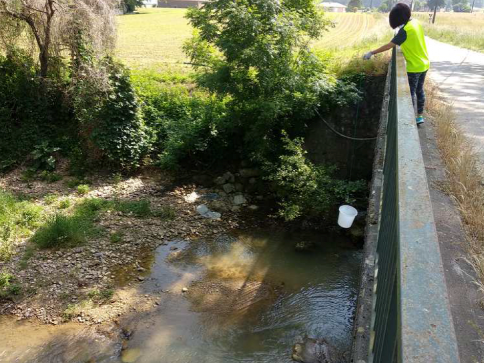 El estudio analiza aguas de los ríos Clamor Amarga, Cinca, Alcanadre, Flumen, Gállego y Aragón.