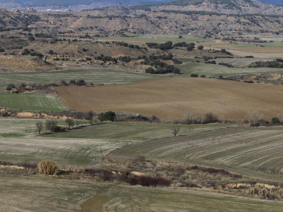 Fotografía de archivo de un campo agrícola en la provincia altoaragonesa.