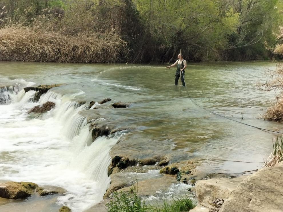 Técnico medioambiental actuando contra la mosca negro en un río de la comarca del Bajo Cinca.