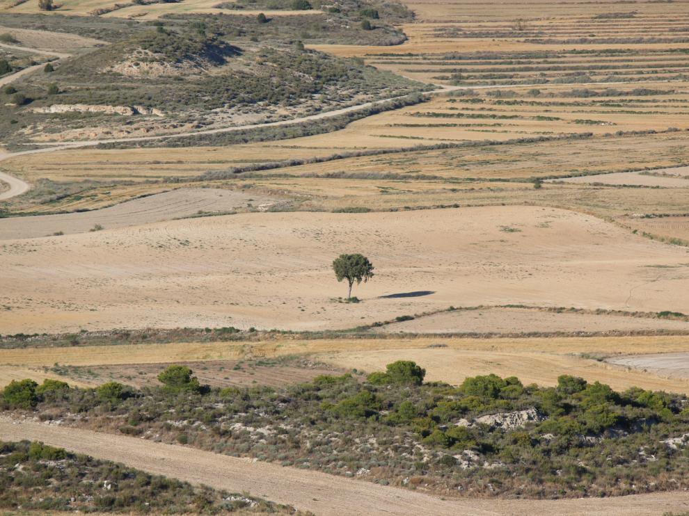 Panorámica de la Comarca de Los Monegros.