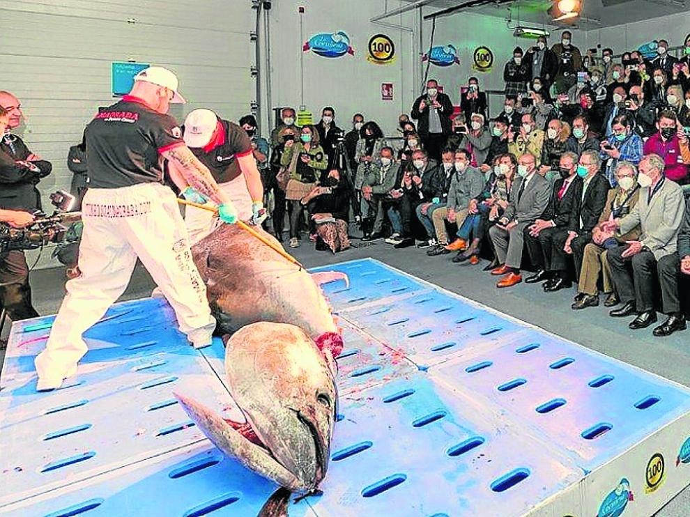 Imagen del ronqueo de un atún rojo de más de 300 kg, el pasado lunes en La Coruñesa.