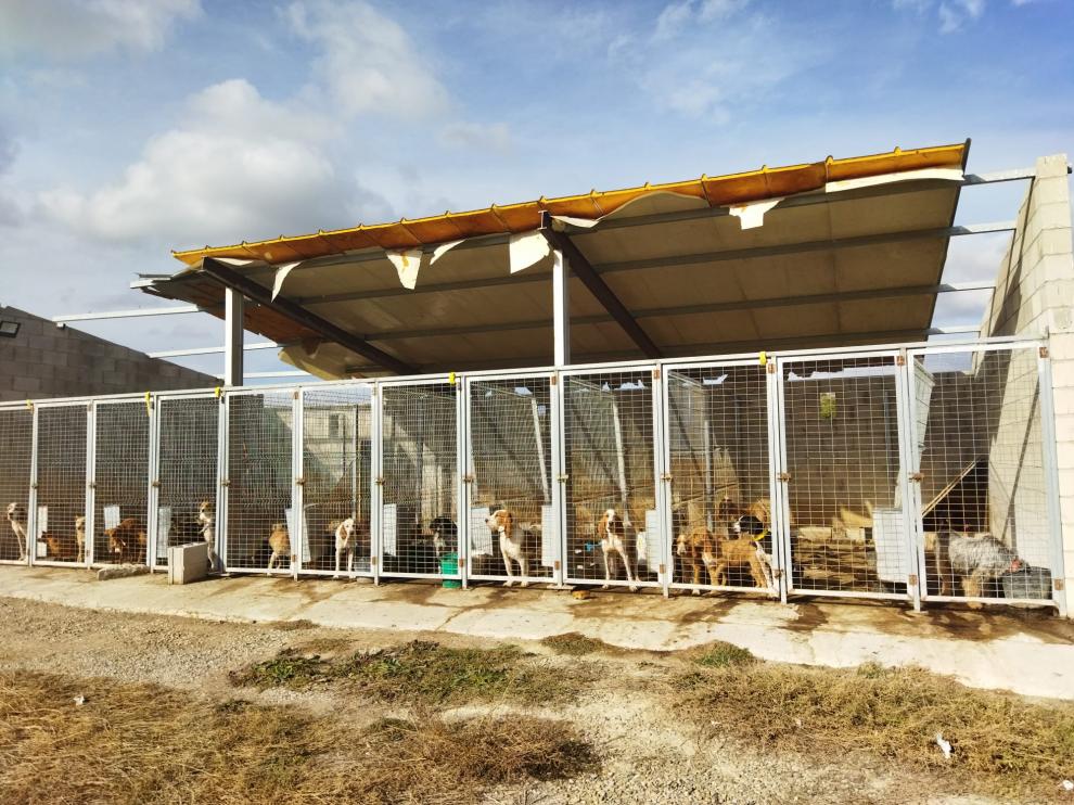 La perrera irregular aloja hasta 18 animales, algunos de los cuales se encuentran a la intemperie.