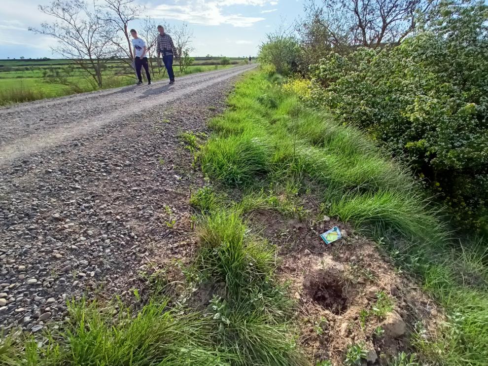 Ocho árboles de la Vía Verde han sido robados.