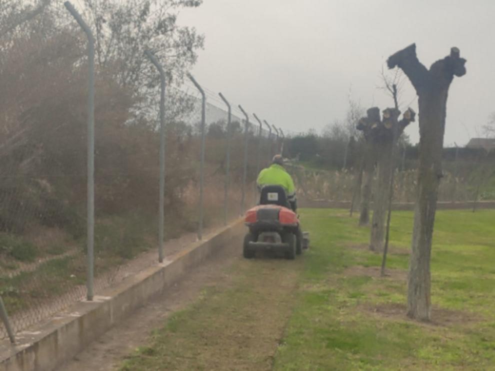 Regeneración del césped.