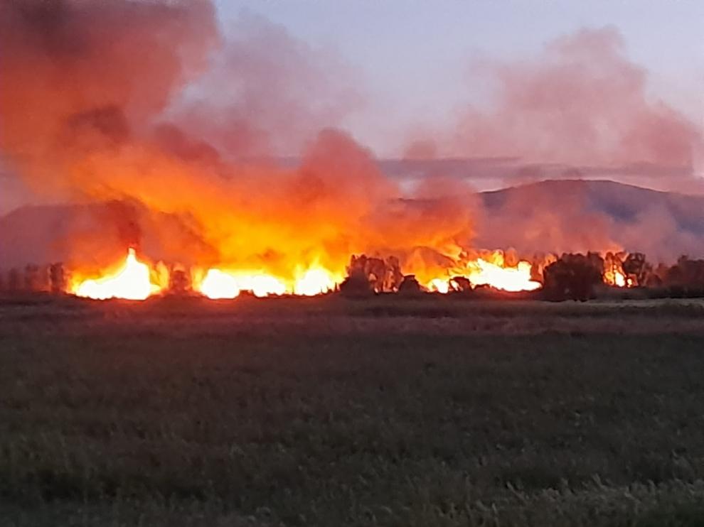 Incendio en Belver de Cinca, este miércoles.