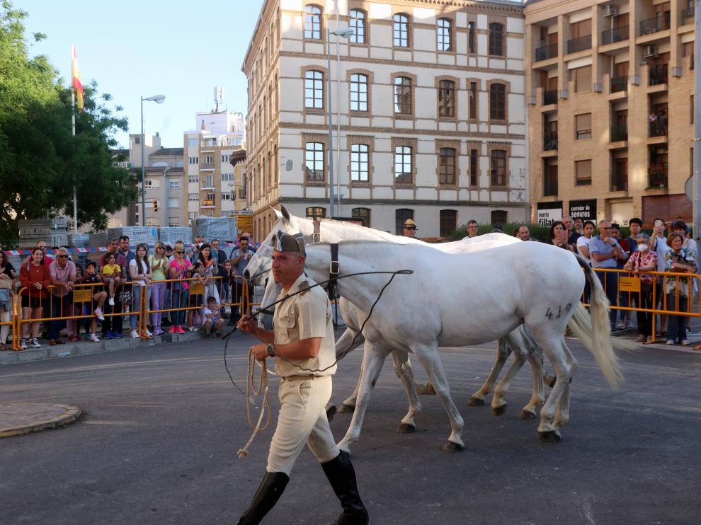 Todas las actividades realizadas han despertado gran interés entre los vecinos de Huesca.