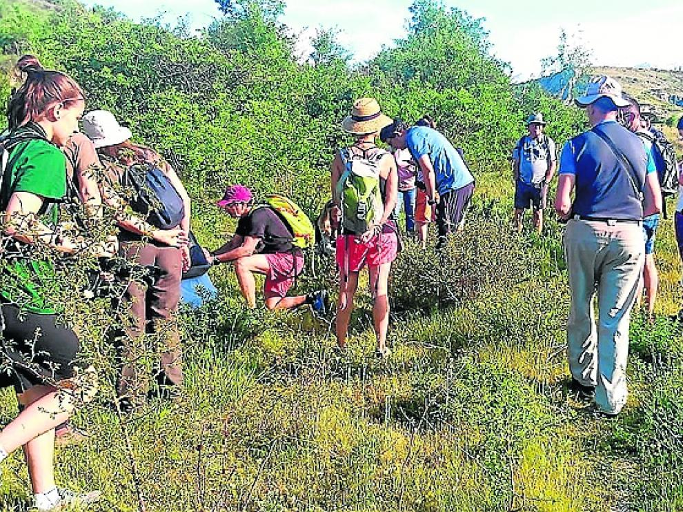 Participantes de las II Jornadas de Medio Ambiente realizadas este fin de semana en Sabiñánigo.