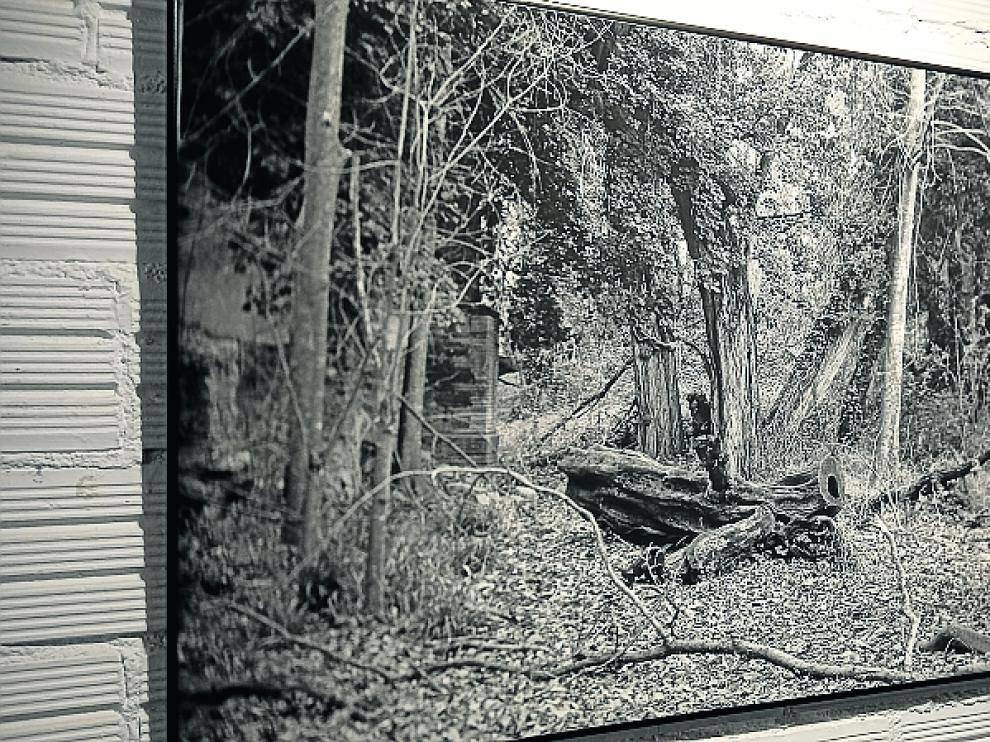 Una de las obras de la exposición ‘Un instante de visión’, de Lino Bielsa, que se exhibe en librería Ibor.