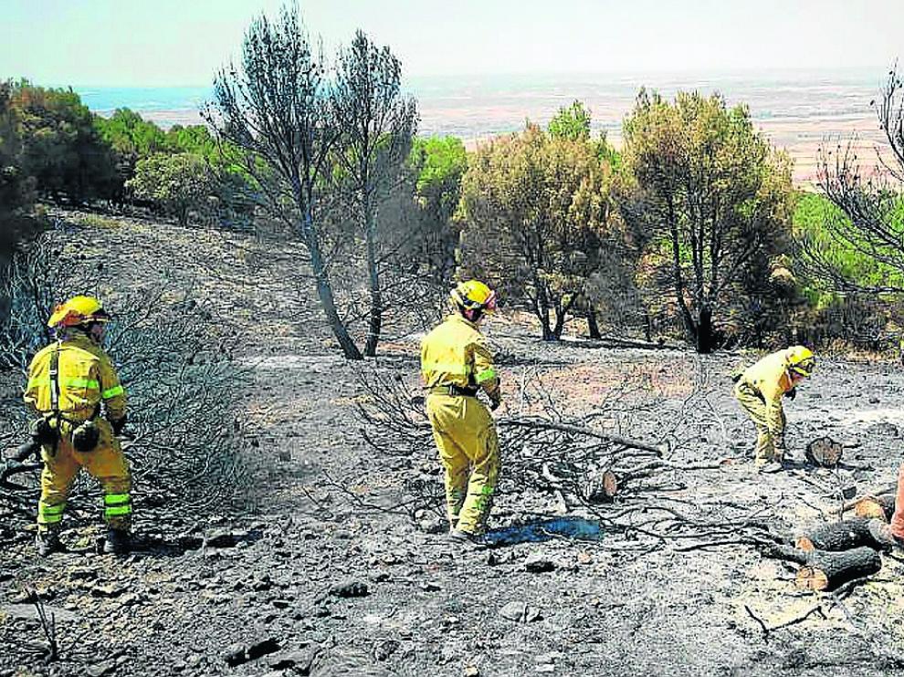 Algunos efectivos en la zona arrasada tras el incendio.