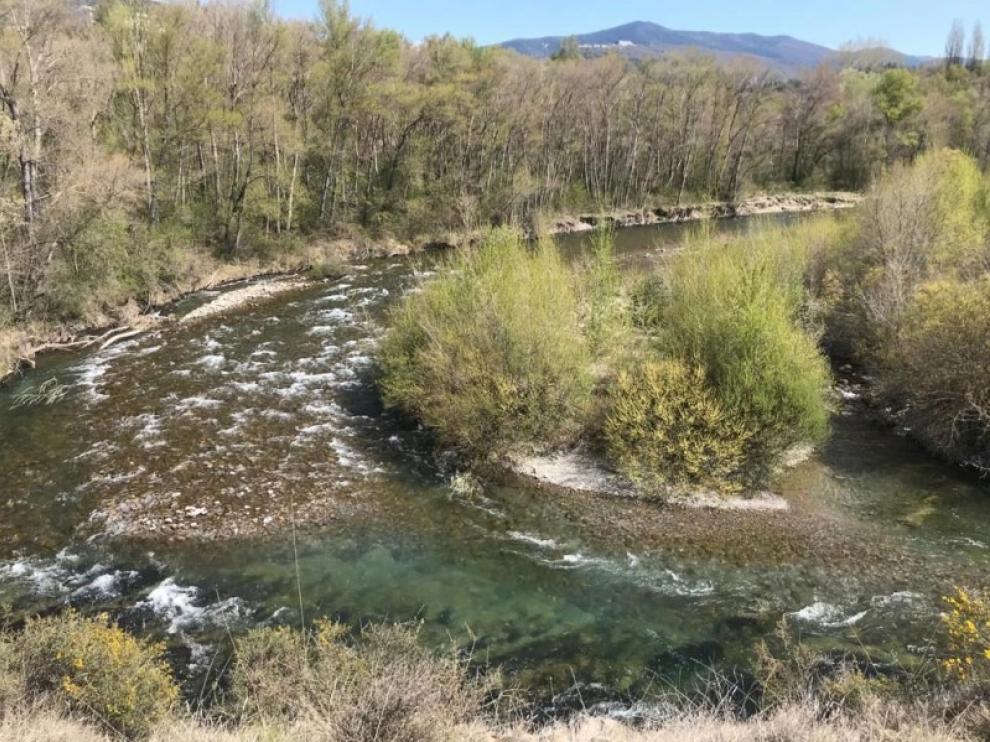 Un meandro del río Aragón.