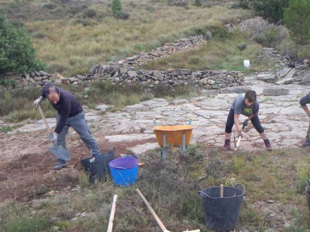 Fundación Conjunto Paleontológico de Teruel-Dinópolis