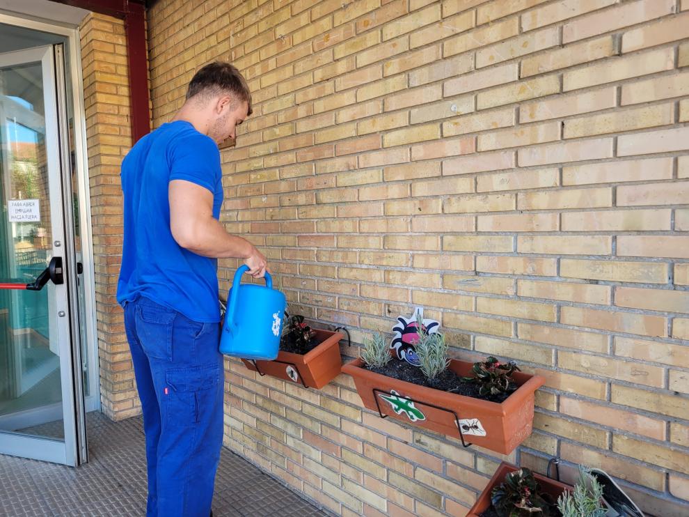 Mantenimiento de jardinería en el CEIP Víctor Mendoza por personal de Medio Ambiente.
