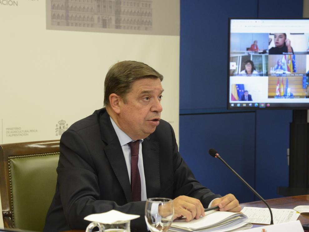 El ministro Luis Planas ha presidido la Conferencia Sectorial de Agricultura.