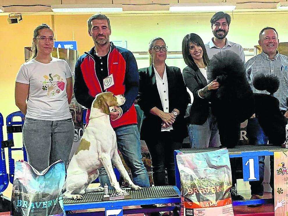 Ganadores del VI Concurso Nacional de Belleza Canina “Ciudad de Monzón”.