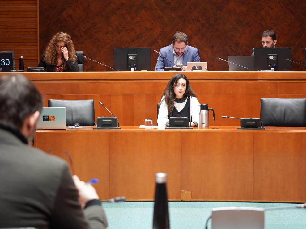 Paloma Delgado, en un momento de su intervención en Las Cortes de Aragón.