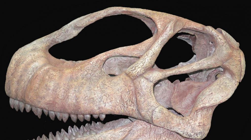 Nuevo proyecto de investigación sobre dinosaurios concedido al equipo de la Fundación Dinópolis