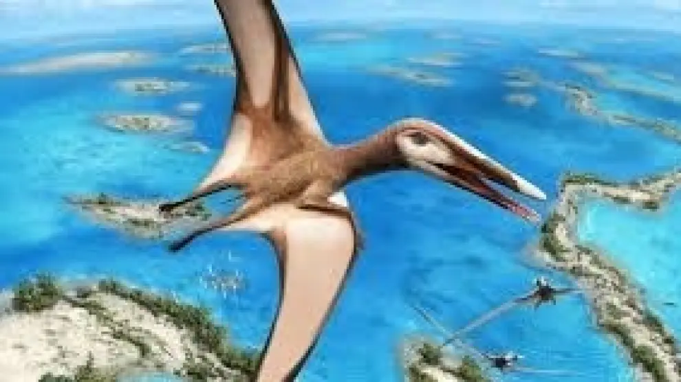 Un completo fósil revela una nueva clase de reptiles voladores