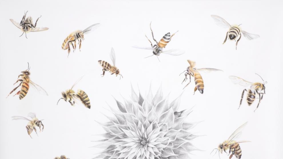 “Todos afanados como insectos procurando una compañía”, de Lina Vila