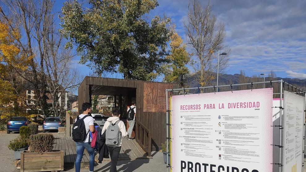 Cubo junto a la parada de autobús de Aínsa.