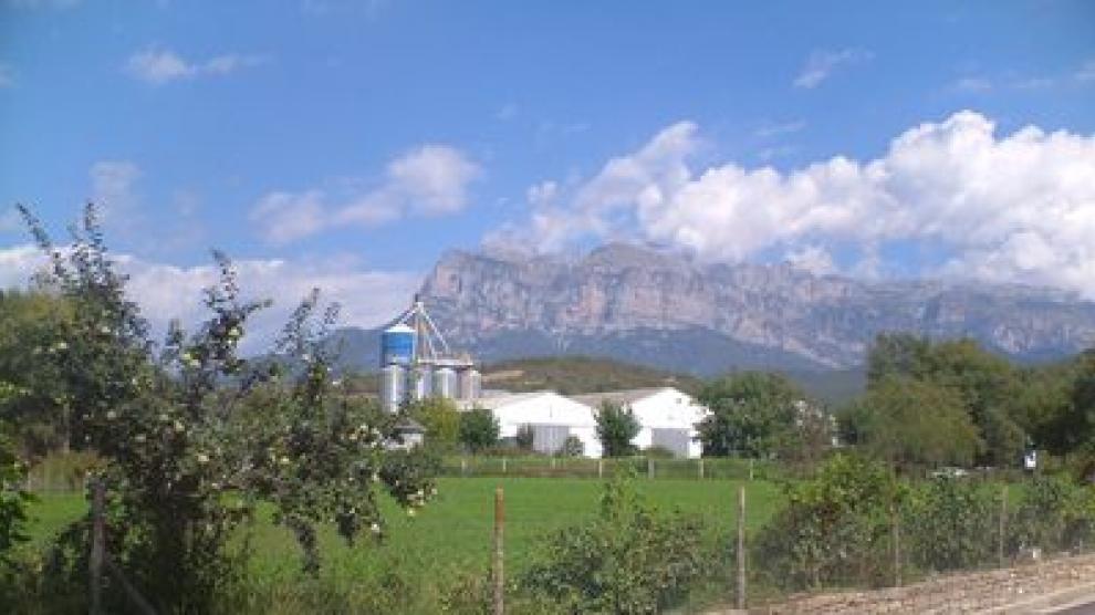 Instalaciones de la Cooperativa de Sobrarbe.