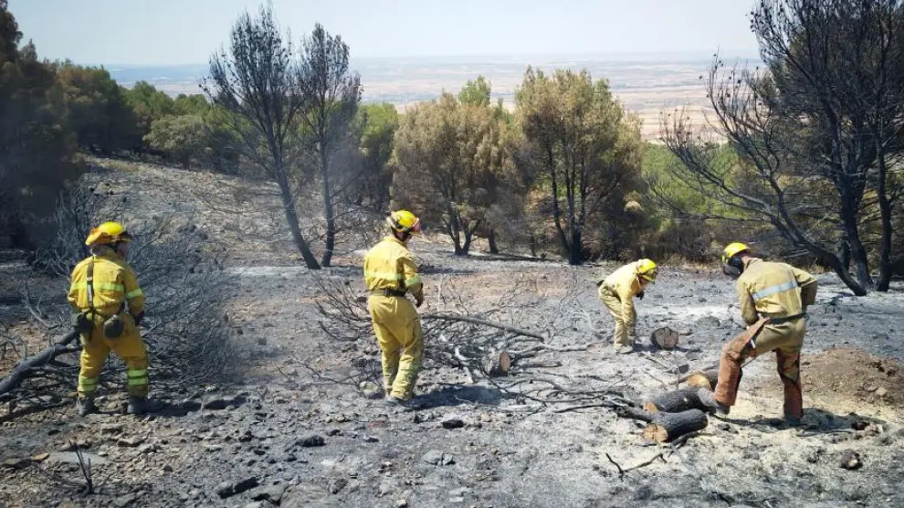 Miembros del operativo Infoar en labores de extinción en el incendio de Ateca.