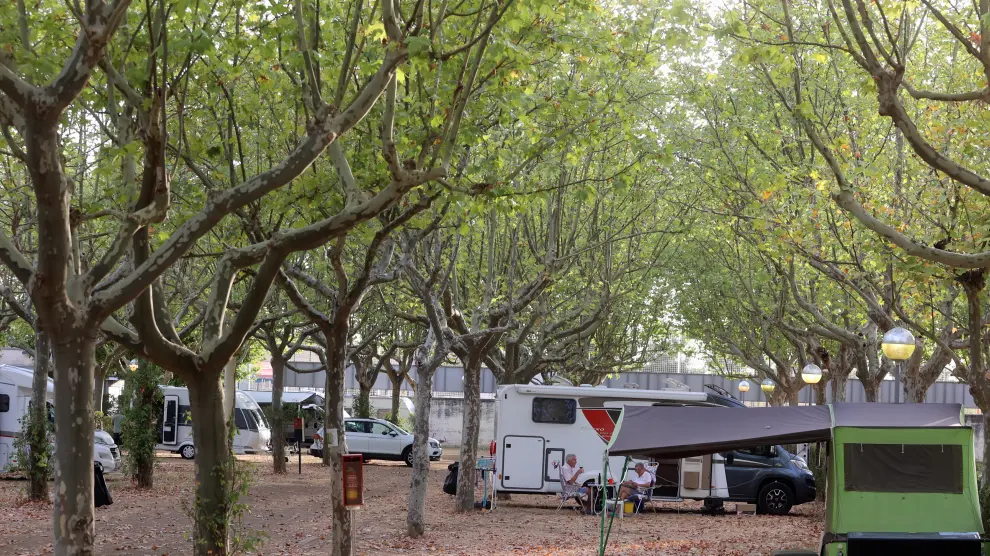Se van a realizar varias obras de mejora en el camping San Jorge.