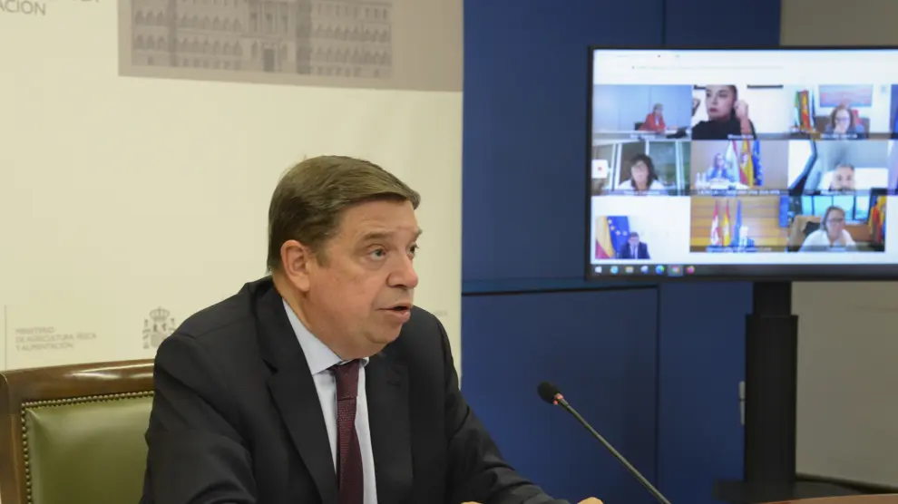 El ministro Luis Planas ha presidido la Conferencia Sectorial de Agricultura.