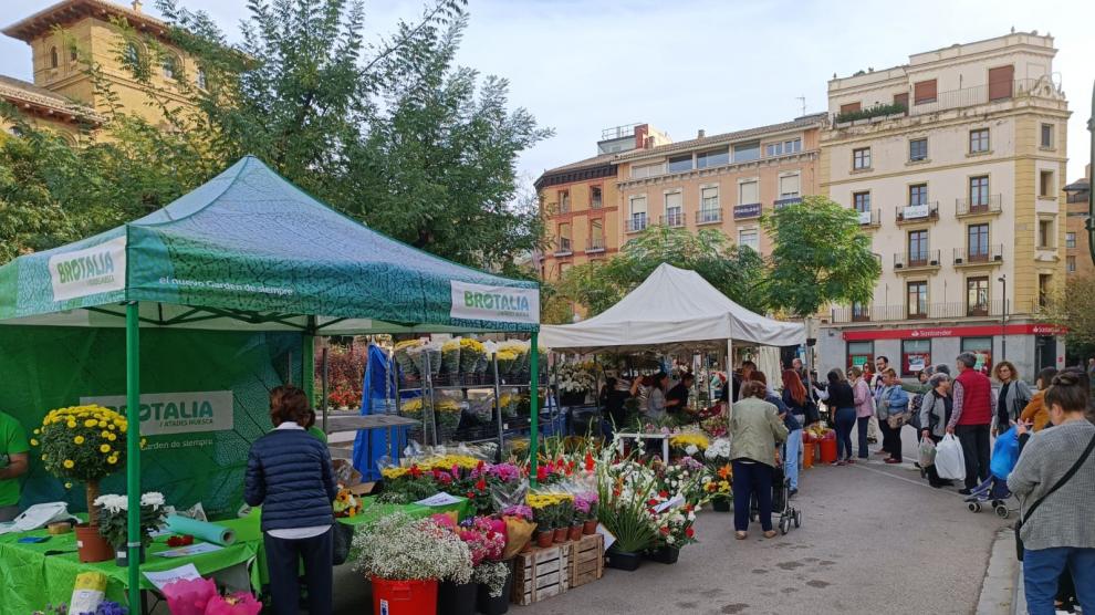 Mercado de flores extraordinario celebrado este sábado en Huesca