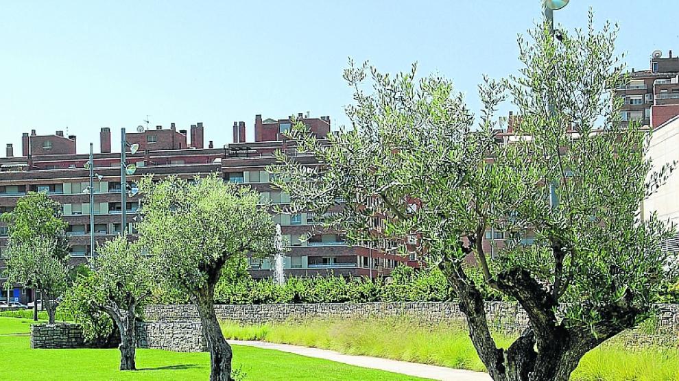 El proyecto busca un mejor uso del agua en las zonas verdes.