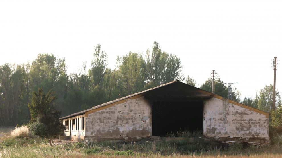 Estado en el que ha quedado la granja.