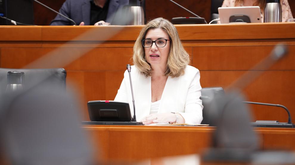 Claudia Pérez Forniés, consejera de Educación, durante su intervención de este jueves, a petición del PSOE.