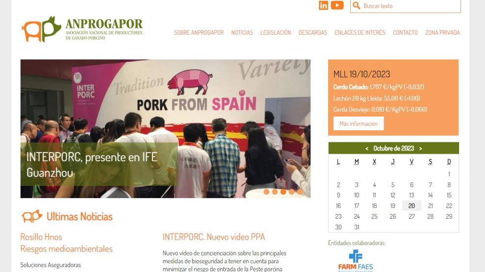 Imagen de la página web de Anprogapor